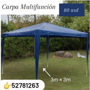 Carpa Multinacional - Img 55754602