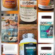 Glucosaminas para perros. - Img 48352123