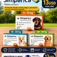 Simparica clásica - Img 56040576