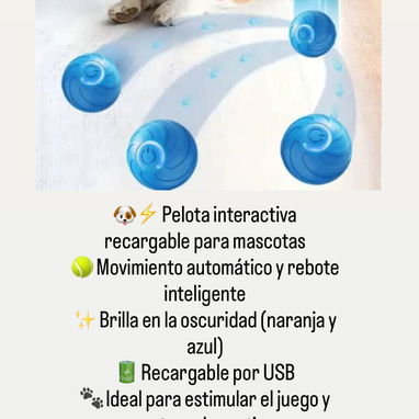 ArtĂculos para mascotas - Img 121178700