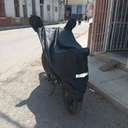 Capa moto - Img 56569978