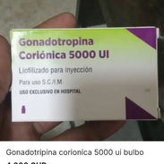 GONADOTROPINA CORIONICA  5000 UI - Img 57444741