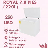 NEVERA HORIZONTAL ROYAL 7.8 PIES (220L) - Img 54392191