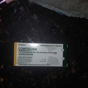 Cortisona en tableta de 20 - Img 56849429