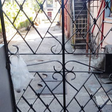 Casa en interior - 9/9