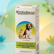 Meloxicam para mascotas - Img 57696826