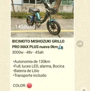 Bicimoto Mishozuki grillo - Img 50174675