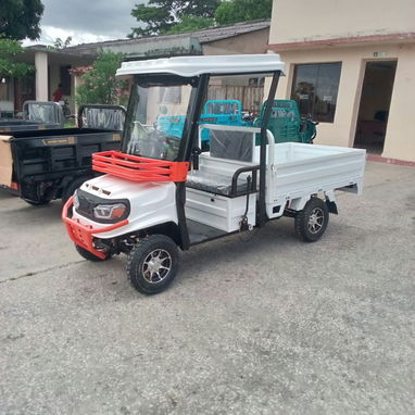 Carros eléctricos, batería 74x60 de litio, capacidad de 8 pasajeros, 6300 USD - 3/4