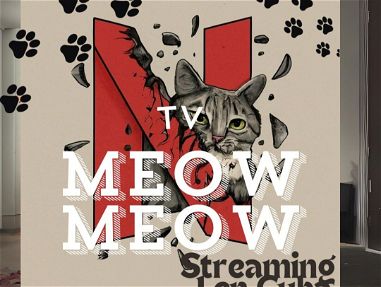😺 *Meow Meow TV* 😻  Streaming de TV en Vivo, Película, Series y demás con un apartado hecho especialmente para la mala - Img main-image-45732134