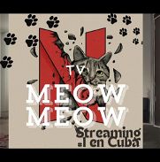😺 *Meow Meow TV* 😻  Streaming de TV en Vivo, Película, Series y demás con un apartado hecho especialmente para la mala - Img 45732134