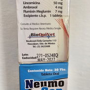 Antibiótico para perros - Img 50968430
