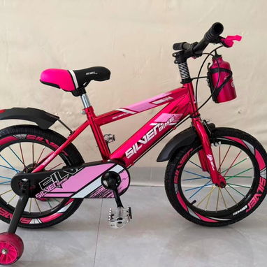 Bicicleta número 12 - 6/6