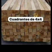 Palos 4x4 - Img 56017260