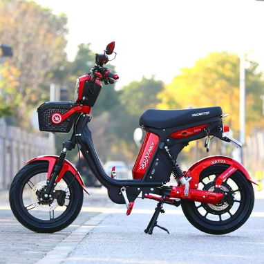 Bicimoto yoasaky - Img 124327971