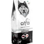 Pienso para perros adultos - Img 55716506