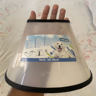 Collar isabelino para mascotas de tamaño mediano VEDADO - 2/4