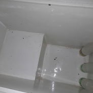 Vendo freezer criollo en perfecto estado maquina sellada en 85 usd o 45000 - Img 55525608