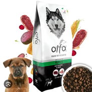 Pienso Importado Para Perros Cachorros. Bolsa 4 kg - Img 55941002