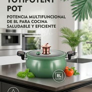 Cazuela Totipotent pot - Img 57309985