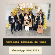 Mariachi - Img 58204016