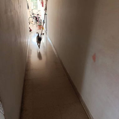 Se vende apartamento en Lawton- 10 de octubre, La Habana - 2/10
