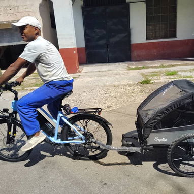 Trailer para bicicletas ,motos ,trailer para transportar niños original ,con funcion de coche de paseo. - Img 126354417
