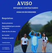 Se busca guía para excursiones - Img 50860220