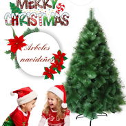 Arboles de Navidad - Img 58171943