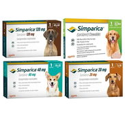 Simparica - Img 50643882