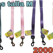 Correas o correas talla M para perros pequeños y medianos - Img 56214011