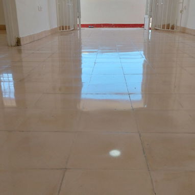 Pulidores de piso profesionales - Img 124844240