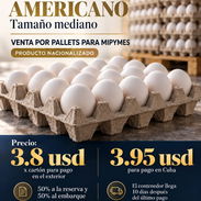 huevo americano - Img 58130804