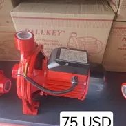 LADRON DE AGUA MARCA DALLKEY 75 USD - Img 56980897