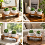 🌵Dale Vida y Buenas Vibras a tu Hogar con este Set de Cactus Decorativos. - Img 56339122