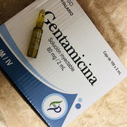 Gentamicina ámpula - Img 52218154