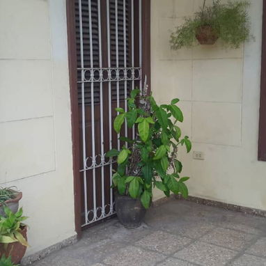 🏡 Se vende hermosa casa independiente en La Habana - Img 119383711