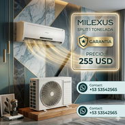 Split 1T Milexus - Img 54549375