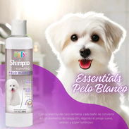 Shampoo para mascotas de pelo blanco - Img 56214061