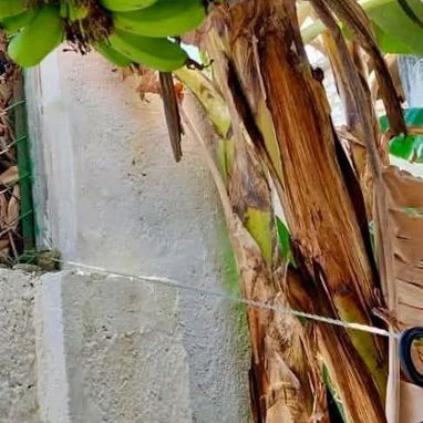 Casa independiente con respaldo energético en Miramar !!! - Img 123264922