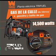 Planta trifuel 14.500w - Img 56350176