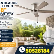 VENTILADOR DE TECHO 48” GRANTWAY – HAMPTON BAY - Img 55201438