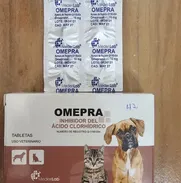 Omeprazol para perros - Img 50098630
