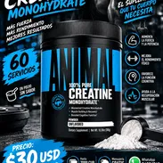 Creatina animal 60 servicios 30usd - Img 57926140