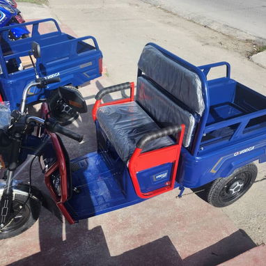 Moto eléctrica, triciclo eléctrico de carga y triciclo eléctrico de carga con cabina abierta y cajón cerrado - Img 119660907