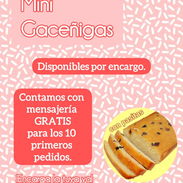 Mini gaceñigas - Img 56605929