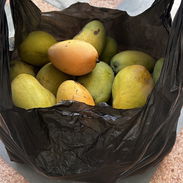 Jaba llena de mangos 🥭 por solo 500 pesos - Img 55780112
