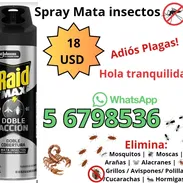 Spray mata insectos - Img 52552261