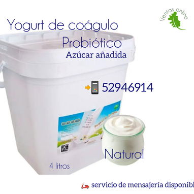 Yogurt Probiotico,4lts Coágulo de leche de vaca, cremoso . - Img 123096511