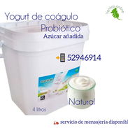 Yogurt PROBIOTICO cubeta de 4 litros , lomo de cerdo importado , Alitas de pollo , etc.. - Img 54748591