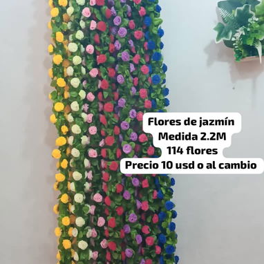 Hermosa planta - Img 121840927